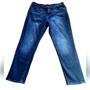 Banana Republic Girlfriend Jeans 32/14